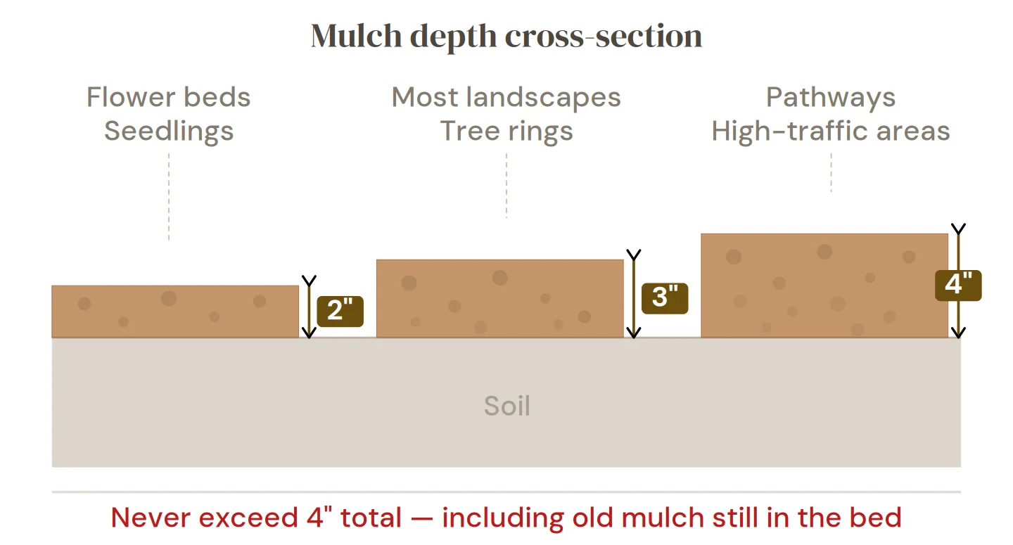 Mulch depth cross-section showing 2, 3, and 4 inch layers for different landscape areas