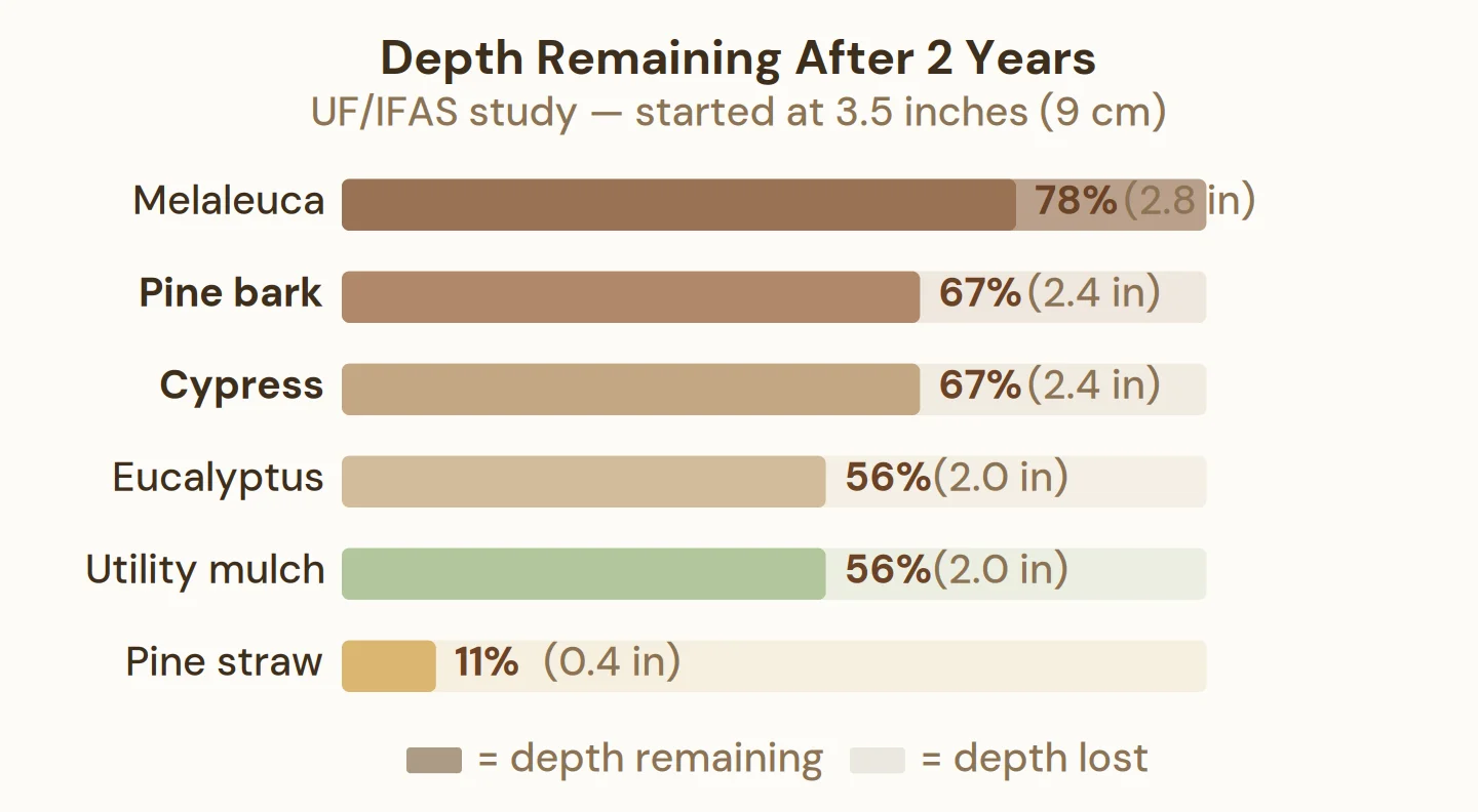 Pine bark retained 67 percent depth after 2 years while pine straw retained only 11 percent